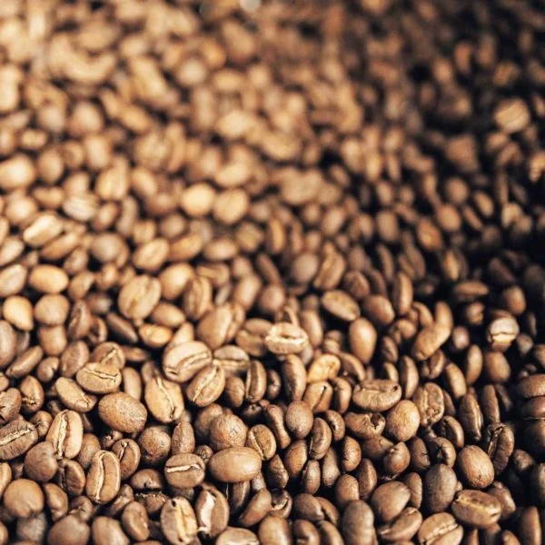 גוואטמלה בהיר2