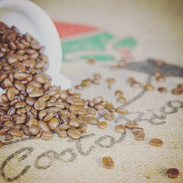 98c7da8d B603 4ca6 83c6 2728eb2924fc