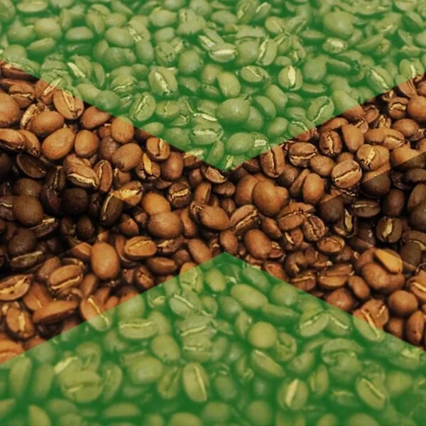 גמייקה בלו מאונטיין 1