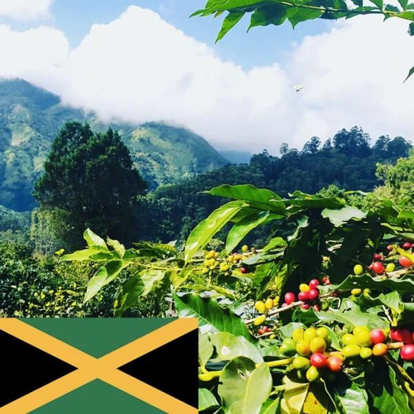 גמייקה בלו מאונטיין