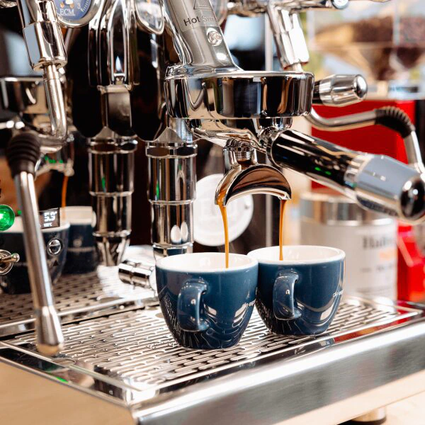 Ecm Technika Vi Dual Boiler 8