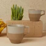 Piconaturalsucculents 108
