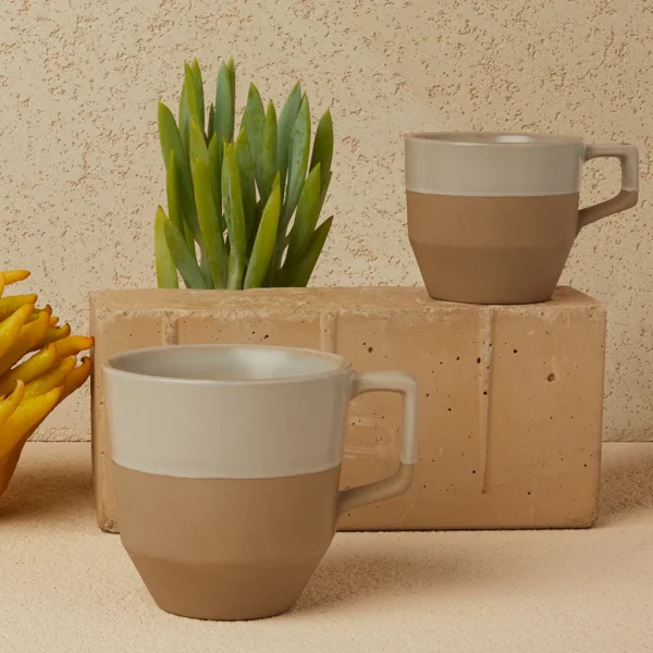 Piconaturalsucculents 108